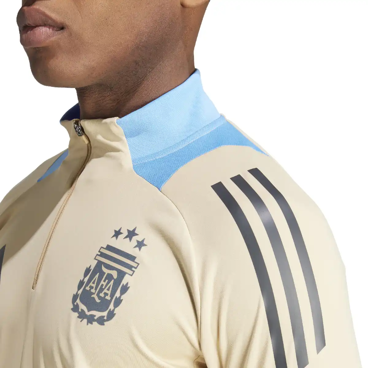 ARG_T_3.webp