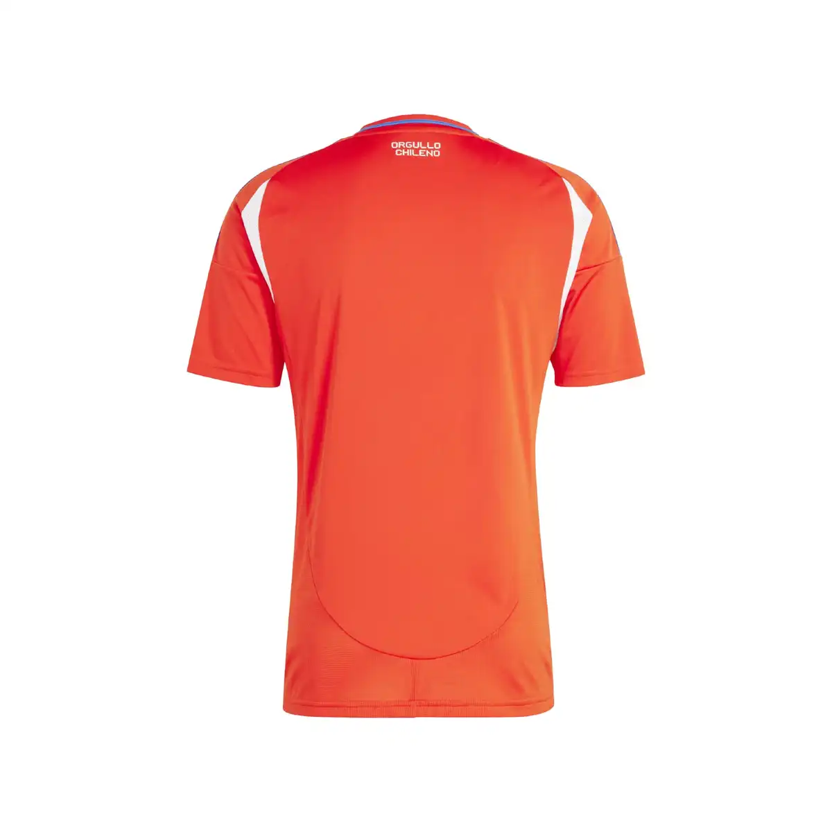 CHILE_AWAY_BACK.webp