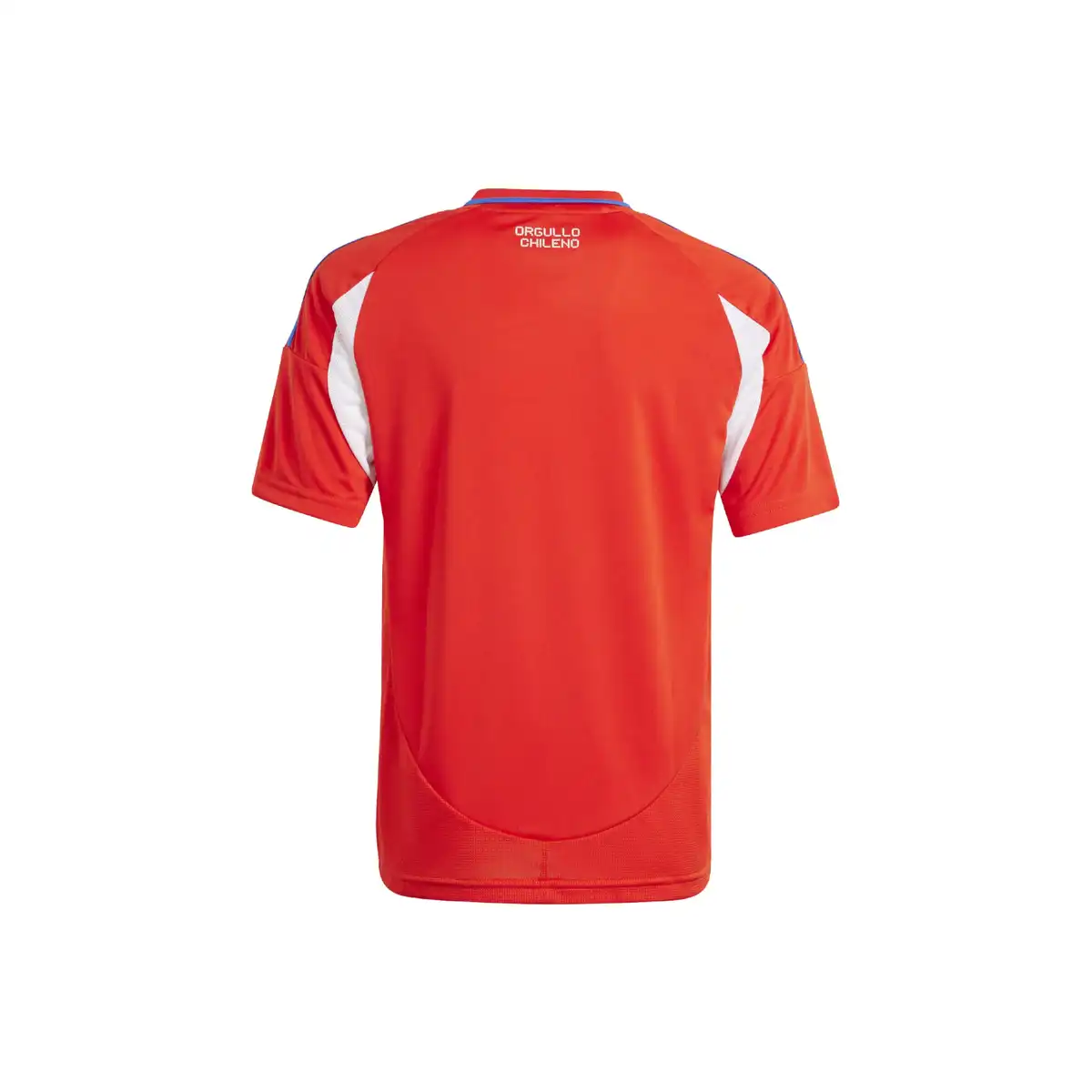 CHILE_YOUTH_BACK.webp