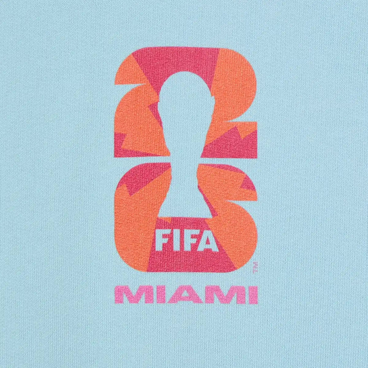 HCMiamiHoodie_4.webp
