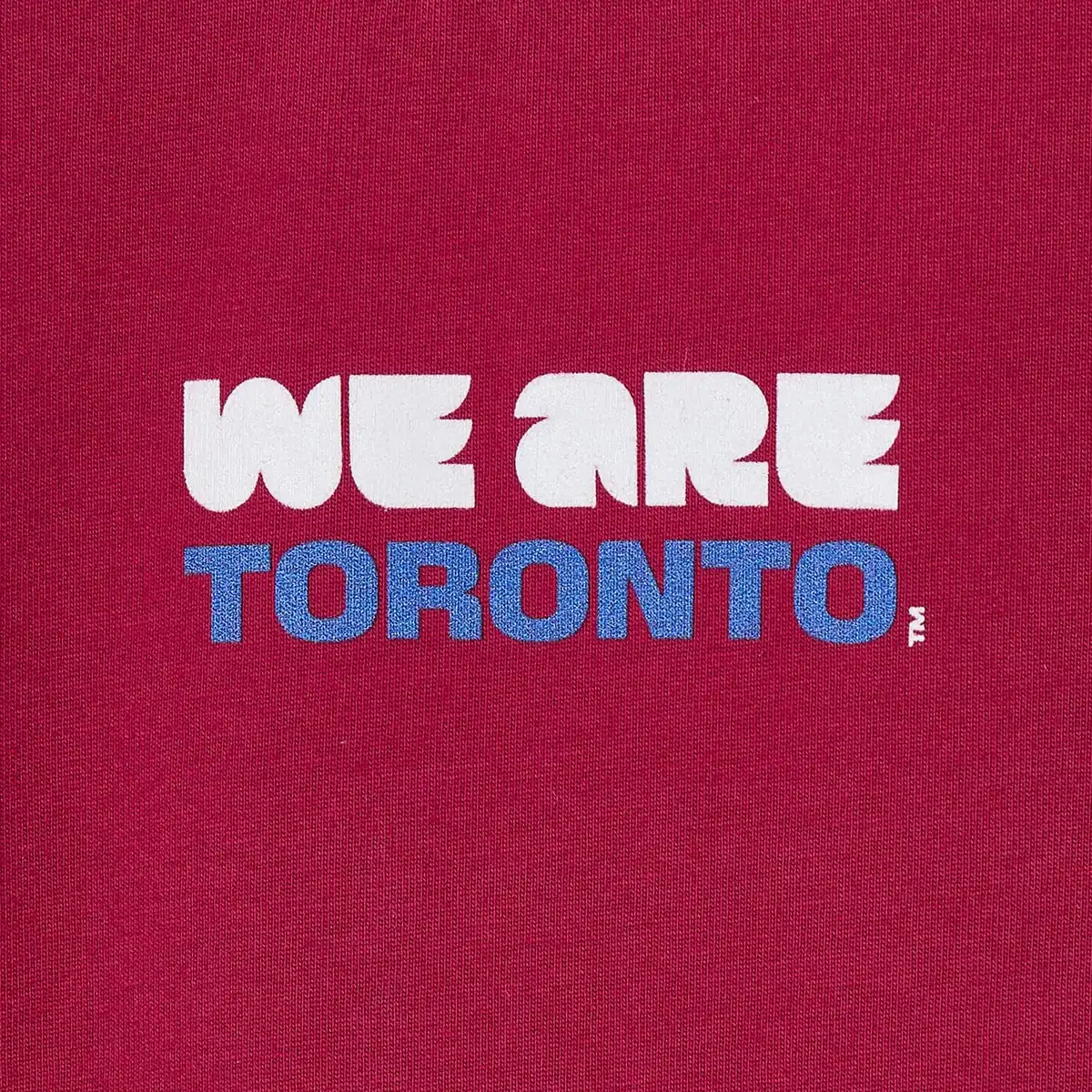 KidsHCTorontoTShirt_3.webp
